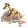 Set za izkopavanje - Dinozaver Tiranozaver